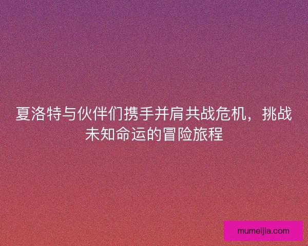 夏洛特与伙伴们携手并肩共战危机，挑战未知命运的冒险旅程