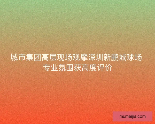城市集团高层现场观摩深圳新鹏城球场 专业氛围获高度评价