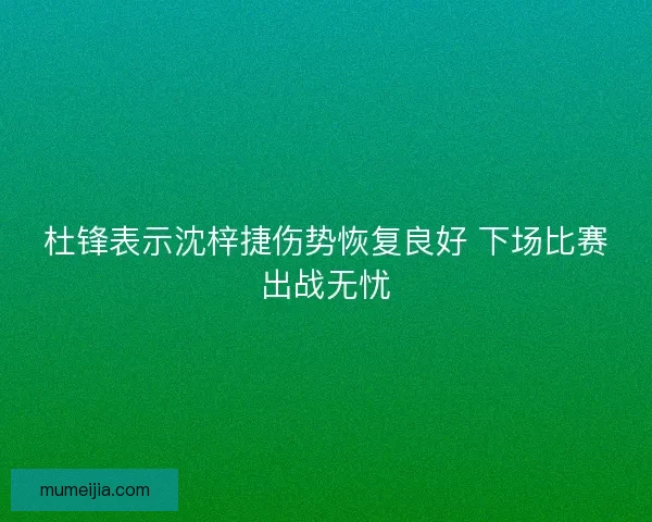 杜锋表示沈梓捷伤势恢复良好 下场比赛出战无忧