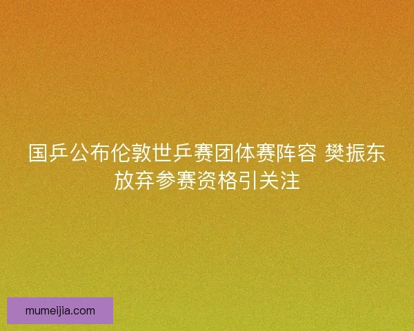 国乒公布伦敦世乒赛团体赛阵容 樊振东放弃参赛资格引关注