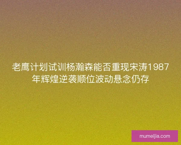 老鹰计划试训杨瀚森能否重现宋涛1987年辉煌逆袭顺位波动悬念仍存
